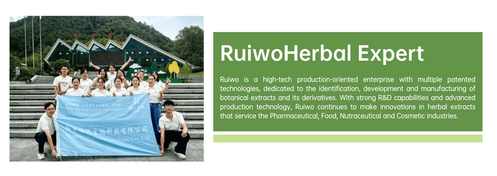 Professional team working together to deliver top-quality extracts Professional team working together to deliver top-quality extracts